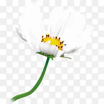 �����ɫ���컨��-������