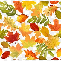 ��Ҷ����װ��-������