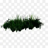 一堆草-空若网 一堆草-空若网