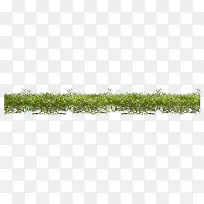 草-空若网 草-空若网