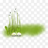 梦幻小草-空若网 梦幻小草-空若网