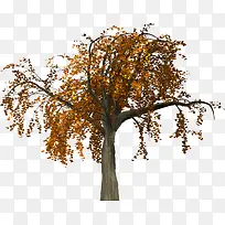 �������-������