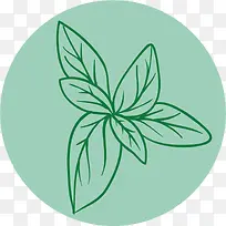 ˮ�ʲ�Ҷ�Ļ���-������