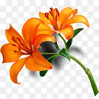 ��ɫ�ٺϻ����ز����-������