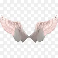 ·ÉÏèµÄ³á°ò-¿ÕÈôÍø ·ÉÏèµÄ³á°ò-¿ÕÈôÍø