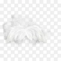 翅膀-空若网 翅膀-空若网