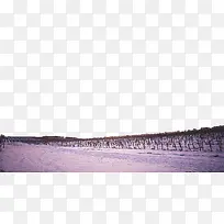 白色雪原-空若网 白色雪原-空若网