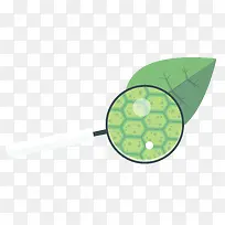 矢量植物细胞素材-空若网 矢量植物细胞素材-空若网