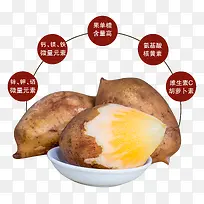 ѩ����������-������