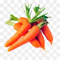 胡萝卜素材免抠素材-空若网 胡萝卜素材免抠素材-空若网