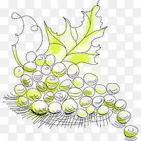 葡萄素描png矢量素材-空若网 葡萄素描png矢量素材-空若网