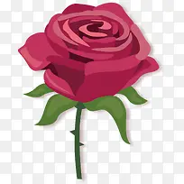 õ�廨-������