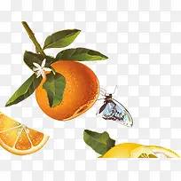 矢量水果-空若网 矢量水果-空若网