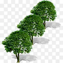 ����ս�е���ɫ����-������