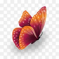 粉红色的蝴蝶-空若网 粉红色的蝴蝶-空若网