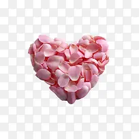 2017年 花瓣-空若网 2017年 花瓣-空若网