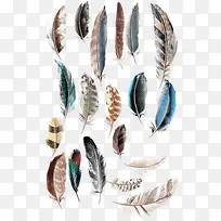 矢量羽毛素材-空若网 矢量羽毛素材-空若网