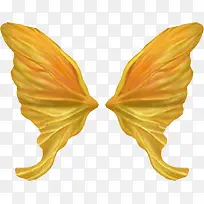 翅膀-空若网 翅膀-空若网