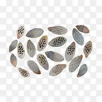 ������ëͼ��-������