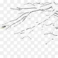 冬天的树枝-空若网 冬天的树枝-空若网