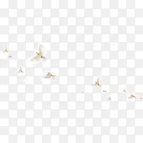 �ɰ��İ׸�-������