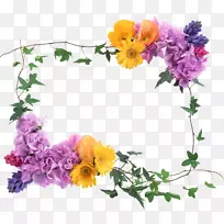 相框花边-空若网 相框花边-空若网