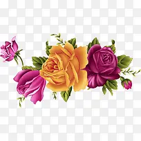 紫色橙色浪漫月季花-空若网 紫色橙色浪漫月季花-空若网