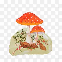 两颗蘑菇-空若网 两颗蘑菇-空若网