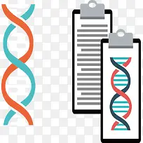 生物基因-空若网 生物基因-空若网