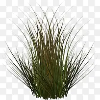 草-空若网 草-空若网