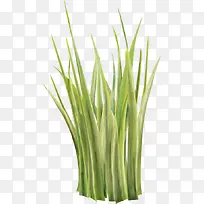 С��ͼƬ�ز�-������