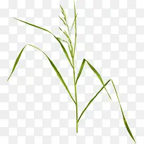 �̲��ز�ͼƬ-������