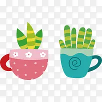 杯子里的多肉-空若网 杯子里的多肉-空若网