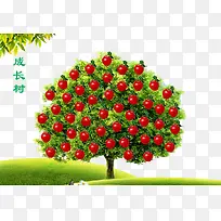 һ�óɳ���-������