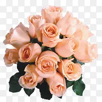 ���ݻ�ʸ�������ز�-������