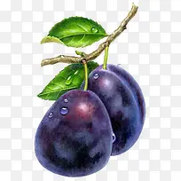 李子水果-空若网 李子水果-空若网