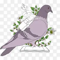 �ֻ��ɫ���Ӳ�ͼ-������