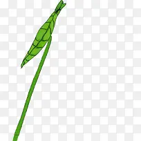 ������Ҷ��ͨ����-������