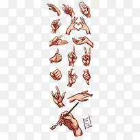 �����Լ�����ز�-������