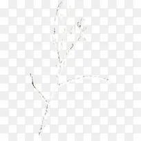 飘雪花朵树枝-空若网 飘雪花朵树枝-空若网