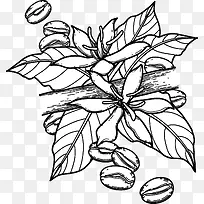 手绘线条花朵-空若网 手绘线条花朵-空若网