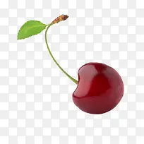 水果鲜艳的荔枝绿叶-空若网 水果鲜艳的荔枝绿叶-空若网