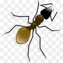 蚂蚁电脑图标剪贴画昆虫-空若网 蚂蚁电脑图标剪贴画昆虫-空若网