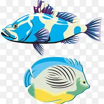 2款卡通手绘海鱼矢量图-空若网 2款卡通手绘海鱼矢量图-空若网