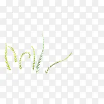 长长的海草-空若网 长长的海草-空若网