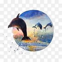 ˮ�ʺ�����Ծ-������