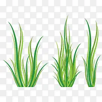 三株小草-空若网 三株小草-空若网