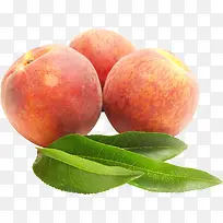 ����-������