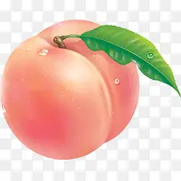 桃子-空若网 桃子-空若网