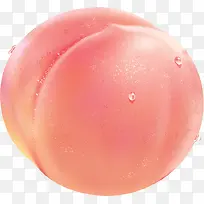 桃子-空若网 桃子-空若网